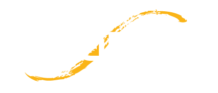 Cleaners | Czyszczenie dachów, kostki oraz elewacji Rzeszów